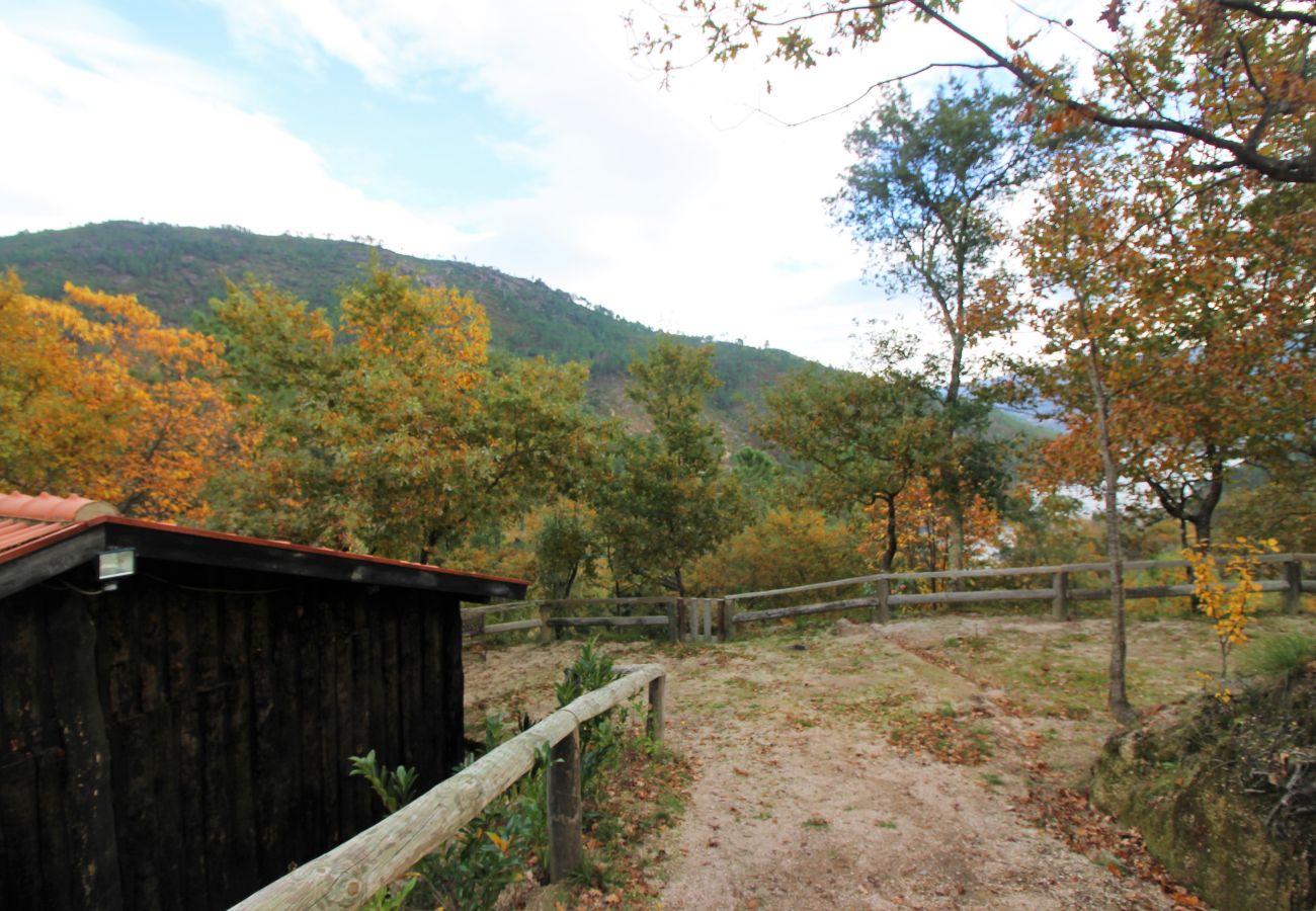 Bungalow em Gerês - Cabana T2 da Carvalha