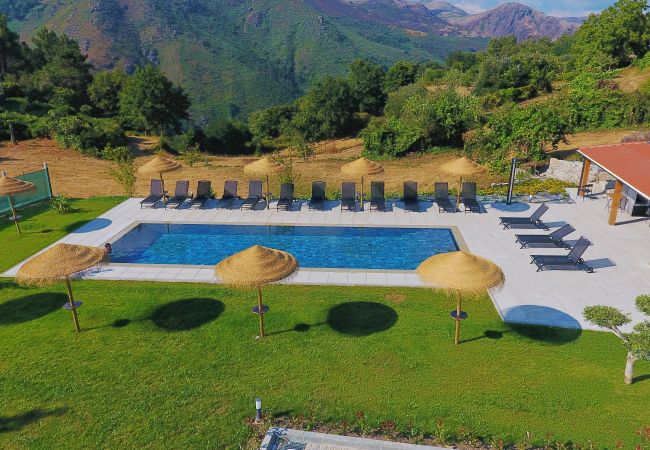 Apartamento em Gerês - Quintão Valley - Casa Grande 5