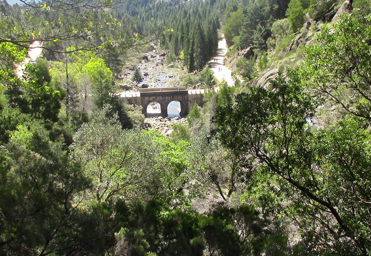 Rent by room in Gerês - Quarto - Casa do Criado