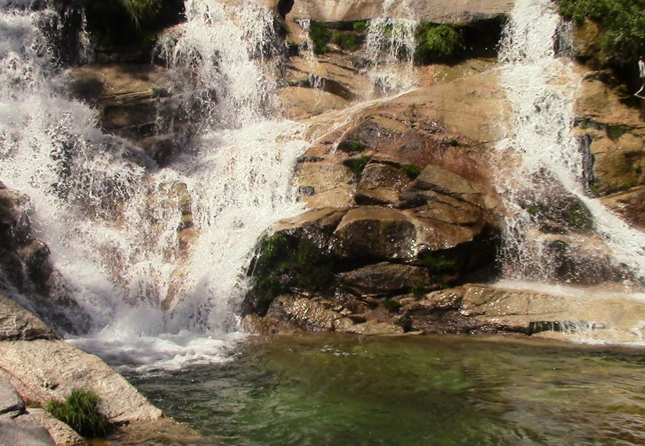 Rent by room in Gerês - Quarto - Casa do Criado