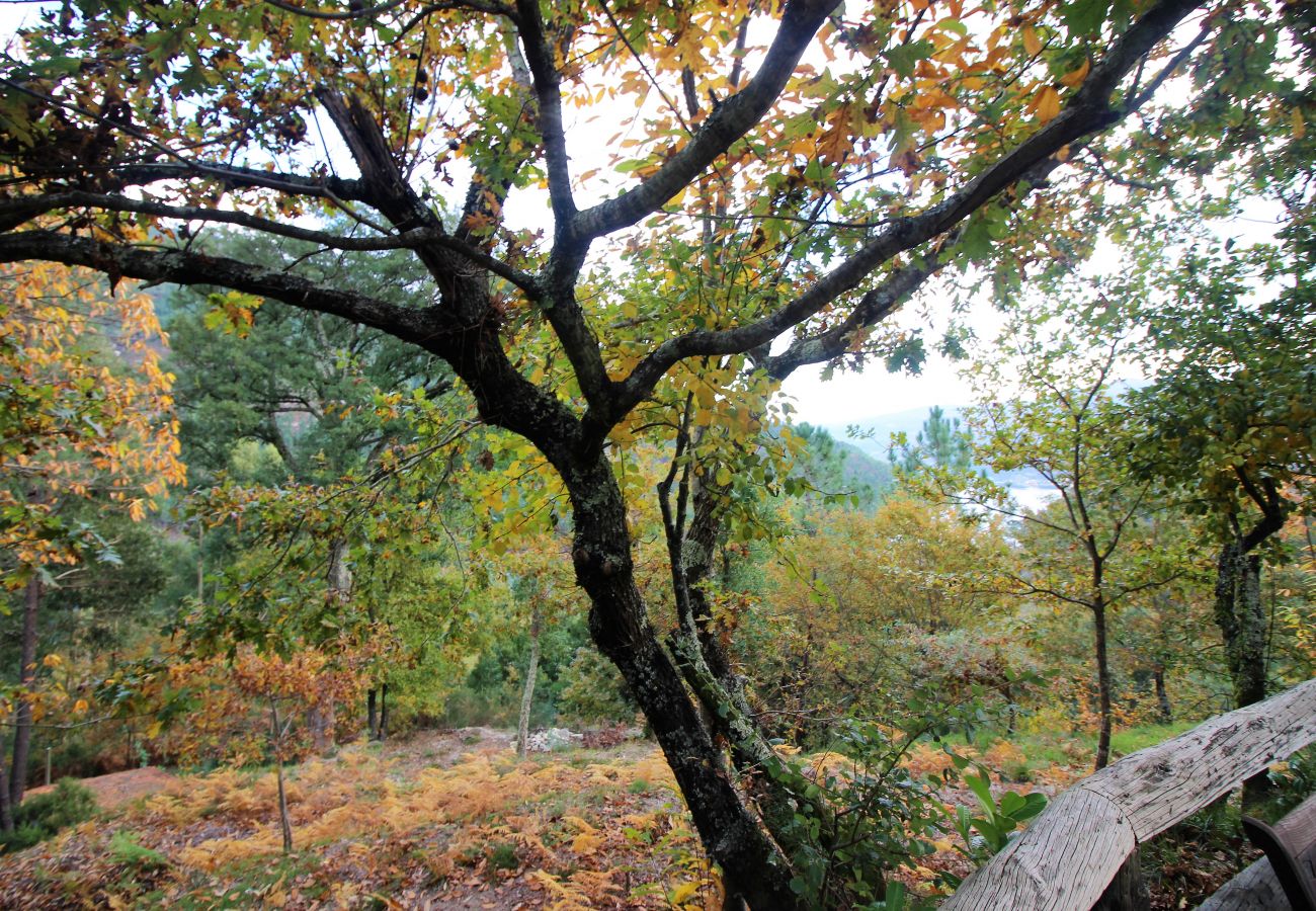 Bungalow in Gerês - Cabana T2 da Carvalha