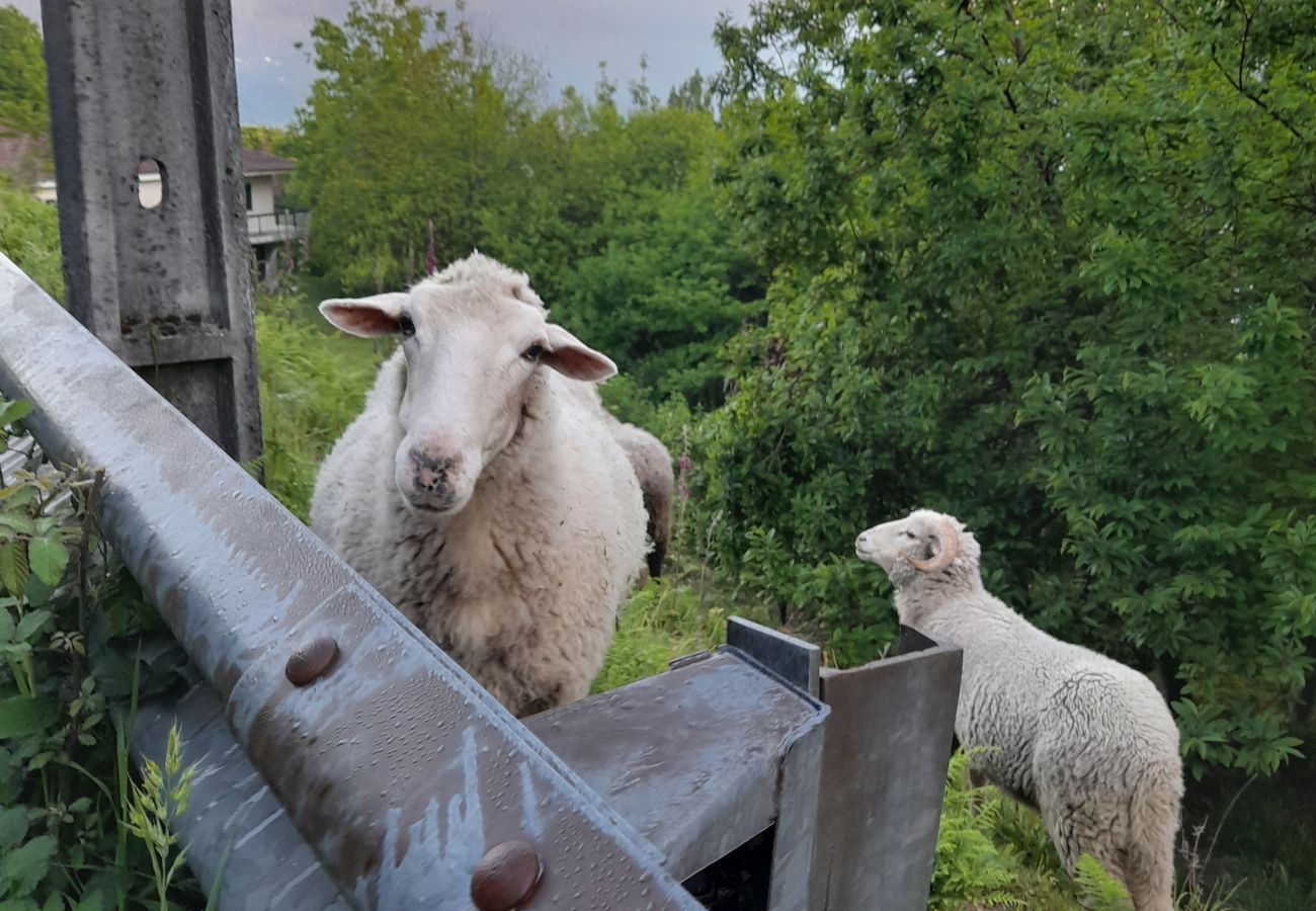 Cottage in Vieira do Minho - Casa da Foz 2