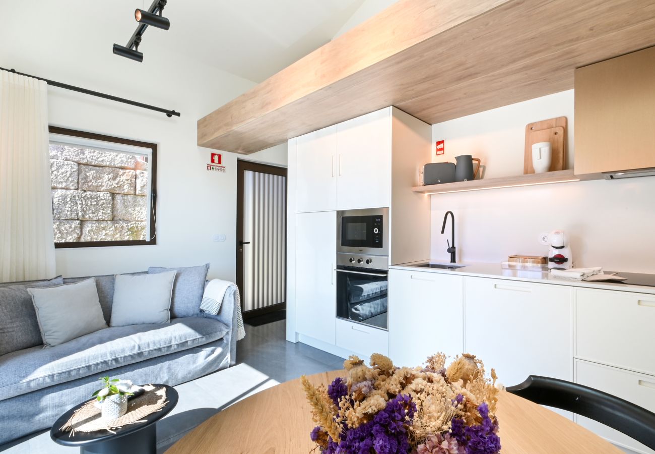 Apartment in Vieira do Minho - Quinta Leitão I