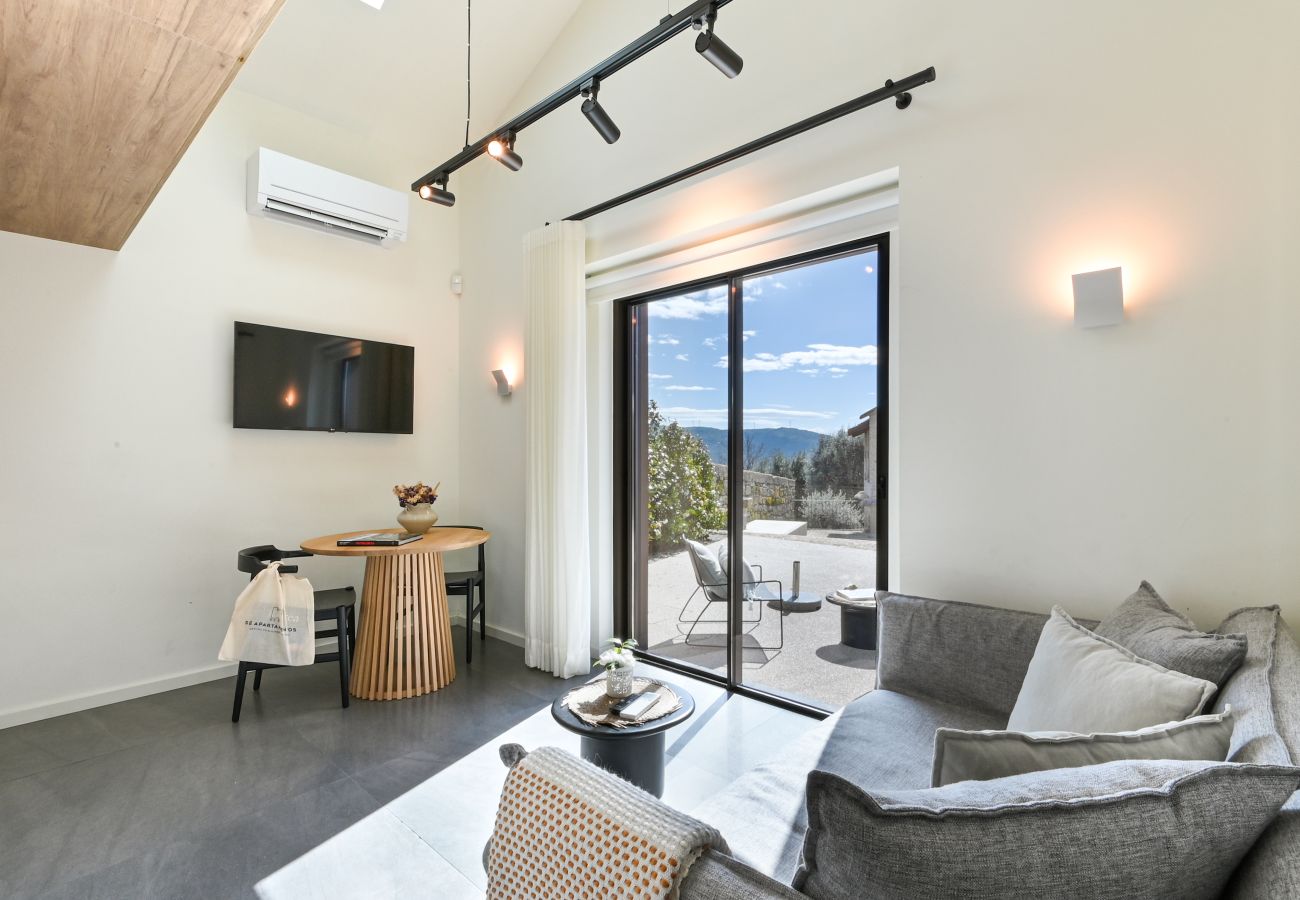 Apartment in Vieira do Minho - Quinta Leitão I